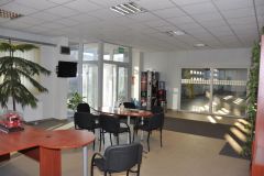 galeria_n_11
